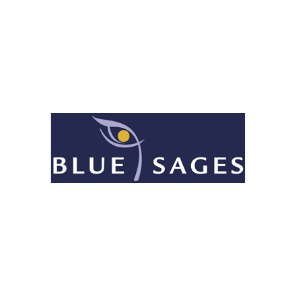 BlueSages - Top Medical Device Software Solutions BlueSages