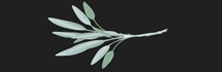 Sage MedTech Advisory - Top Medical Device Outsourcing Firms Sage MedTech Advisory